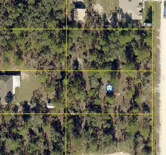 0 Scaup Duck Ave, Weeki Wachee, FL 34614 - photo 3
