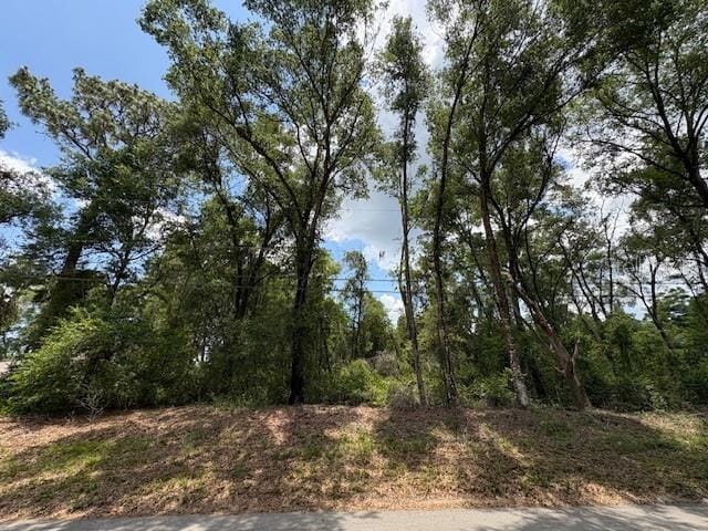 1132 Clover Ter, Inverness, FL 34452 - photo 1