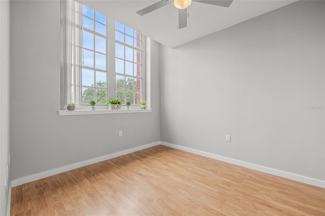 701 Mirror Lake Dr N Unit 309, Saint Petersburg, FL 33701 - photo 29