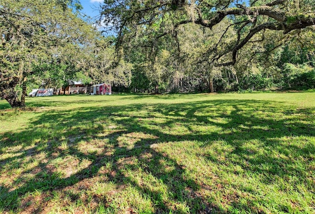 10319 Chip Ln, New Port Richey, FL 34654 - photo 40