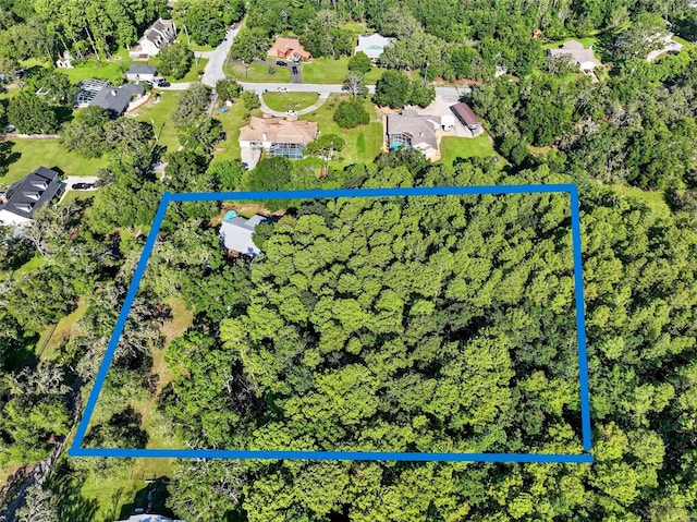 10319 Chip Ln, New Port Richey, FL 34654 - photo 41