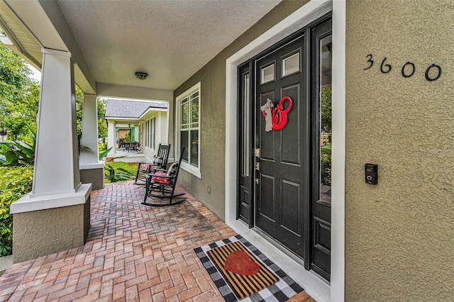 3600 Ferrell St, New Port Richey, FL 34655 - photo 4