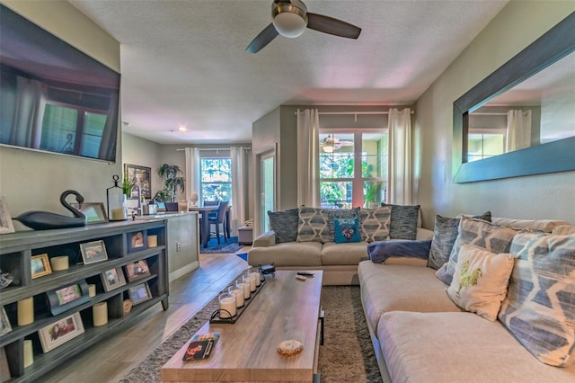 1910 E Palm Ave Unit 10310, Tampa, FL 33605 - photo 5