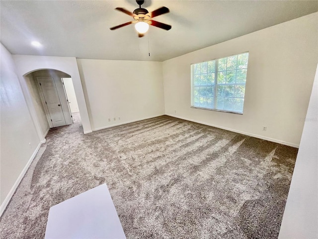 3567 Country Pointe Pl, Palm Harbor, FL 34684 - photo 18