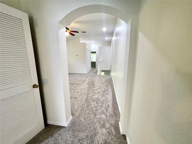 3567 Country Pointe Pl, Palm Harbor, FL 34684 - photo 21