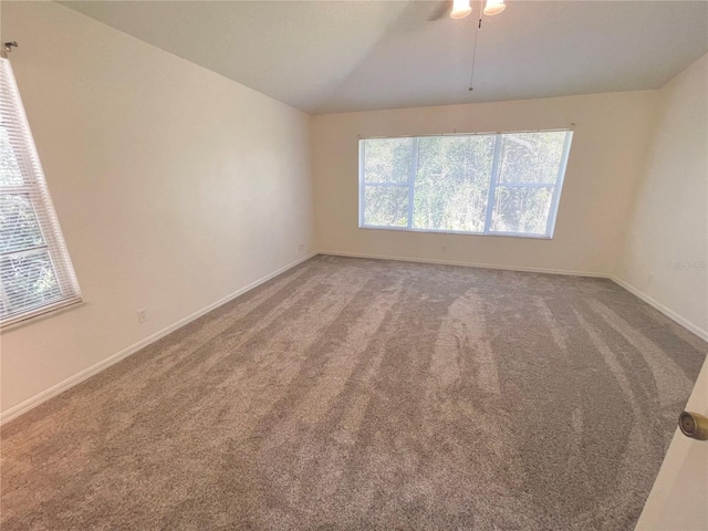 3567 Country Pointe Pl, Palm Harbor, FL 34684 - photo 27