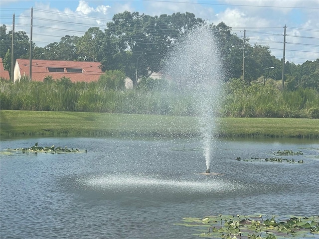 3567 Country Pointe Pl, Palm Harbor, FL 34684 - photo 49