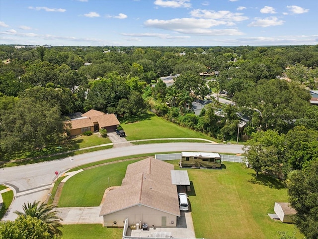 827 Creekside Ln, Palm Harbor, FL 34684 - photo 37