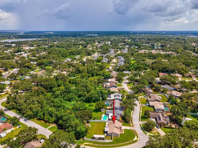 827 Creekside Ln, Palm Harbor, FL 34684 - photo 43