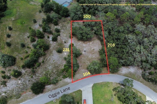 LOT14 Oggie Ln, Hudson, FL 34667 - photo 1