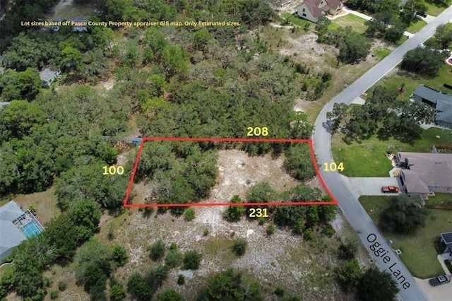 LOT14 Oggie Ln, Hudson, FL 34667 - photo 4