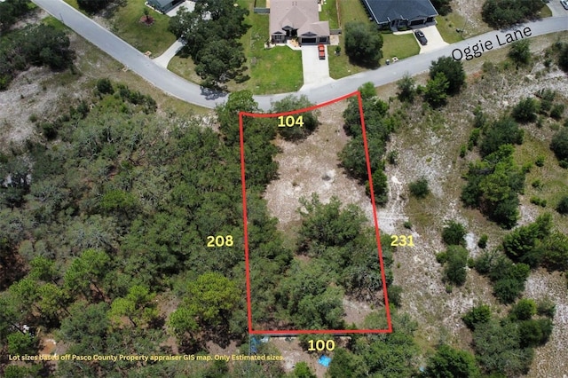 LOT14 Oggie Ln, Hudson, FL 34667 - photo 5