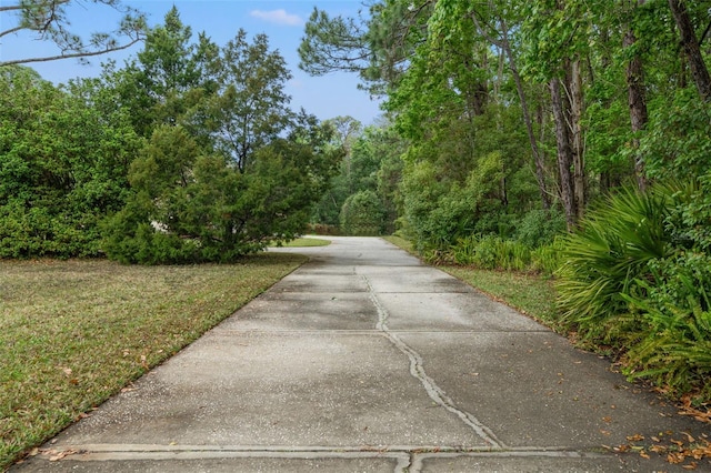 7397 Royal Oak Dr, Spring Hill, FL 34607 - photo 40