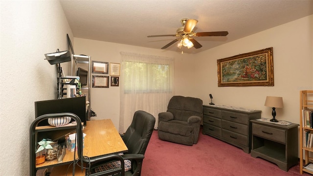 7488 Birdland Cres, Spring Hill, FL 34607 - photo 28