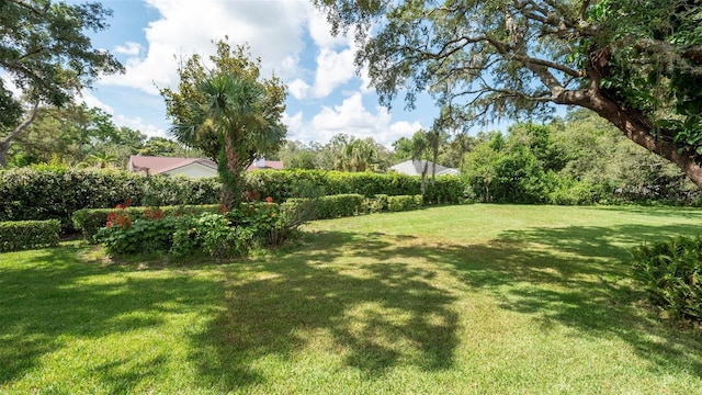 7488 Birdland Cres, Spring Hill, FL 34607 - photo 44