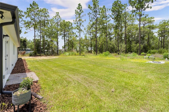 13251 Downy Woodpecker Rd, Weeki Wachee, FL 34614 - photo 66