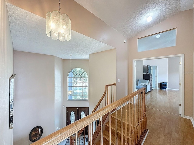 13002 Saint Filagree Dr, Riverview, FL 33579 - photo 36