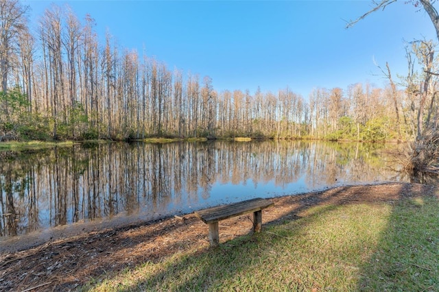 12155 Environmental Dr Unit 8, New Port Richey, FL 34654 - photo 33
