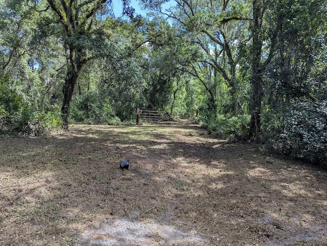 9001 Treiman Blvd, Webster, FL 33597 - photo 3