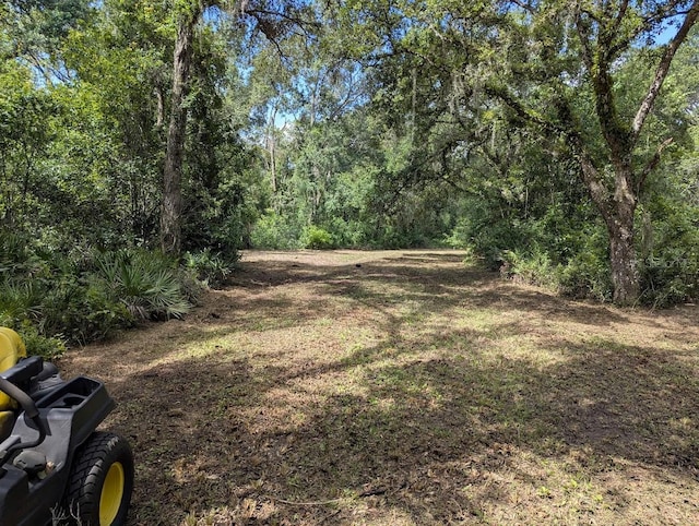 9001 Treiman Blvd, Webster, FL 33597 - photo 4