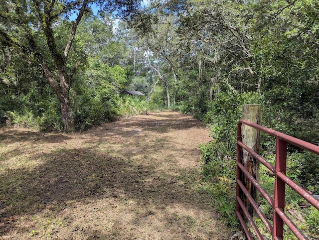 9001 Treiman Blvd, Webster, FL 33597 - photo 5