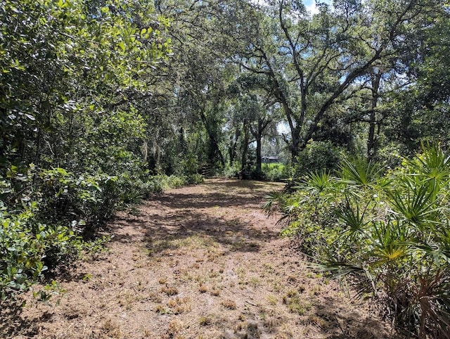 9001 Treiman Blvd, Webster, FL 33597 - photo 6