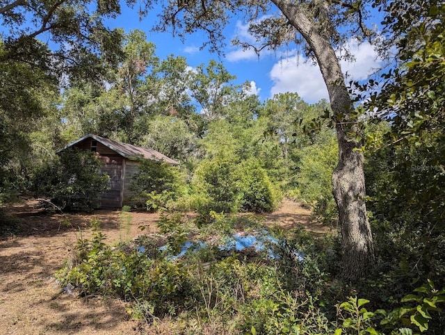 9001 Treiman Blvd, Webster, FL 33597 - photo 7