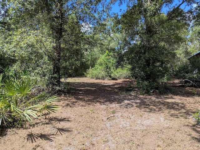 9001 Treiman Blvd, Webster, FL 33597 - photo 9