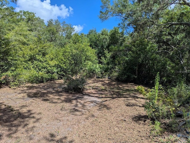 9001 Treiman Blvd, Webster, FL 33597 - photo 10