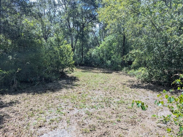 9001 Treiman Blvd, Webster, FL 33597 - photo 15