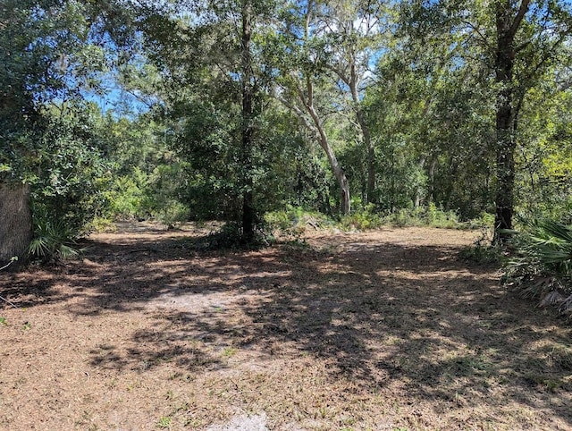 9001 Treiman Blvd, Webster, FL 33597 - photo 16