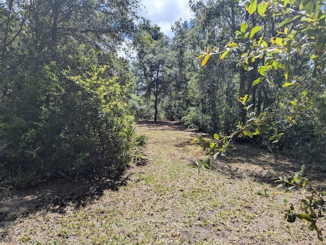 9001 Treiman Blvd, Webster, FL 33597 - photo 19