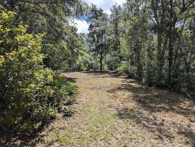 9001 Treiman Blvd, Webster, FL 33597 - photo 20