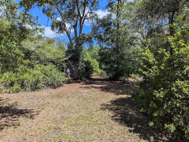 9001 Treiman Blvd, Webster, FL 33597 - photo 21