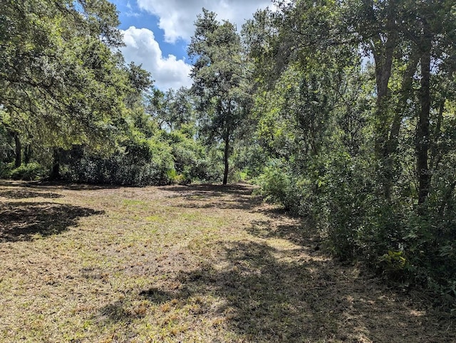 9001 Treiman Blvd, Webster, FL 33597 - photo 22