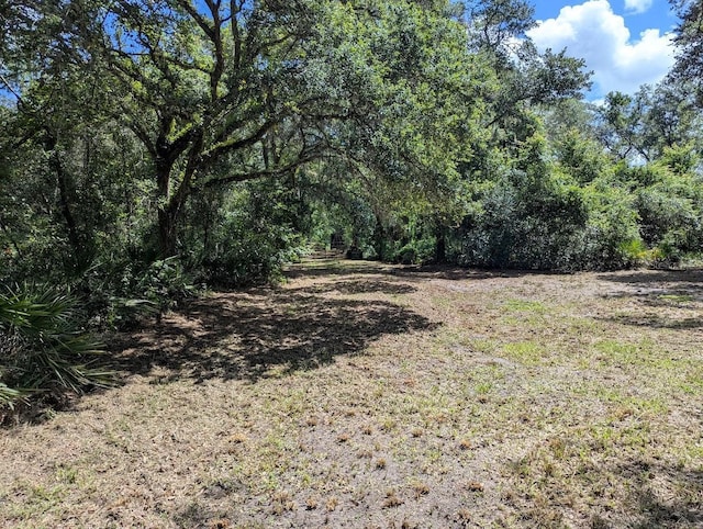 9001 Treiman Blvd, Webster, FL 33597 - photo 23