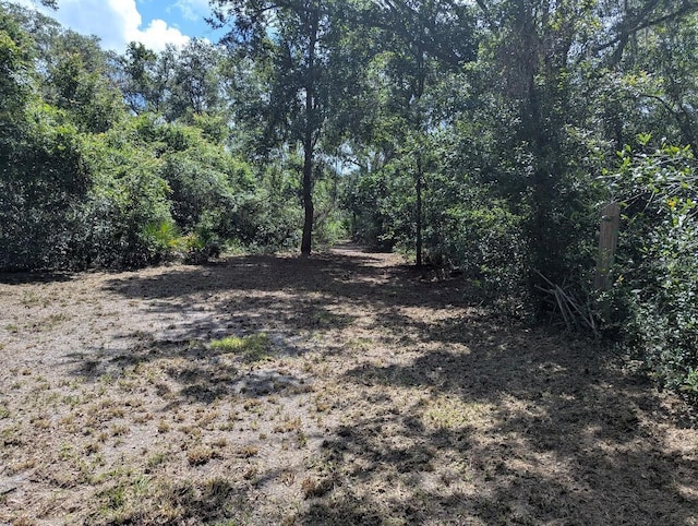 9001 Treiman Blvd, Webster, FL 33597 - photo 24