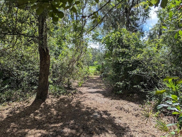 9001 Treiman Blvd, Webster, FL 33597 - photo 25
