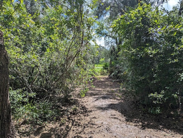 9001 Treiman Blvd, Webster, FL 33597 - photo 26