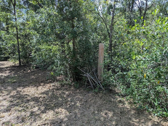 9001 Treiman Blvd, Webster, FL 33597 - photo 27