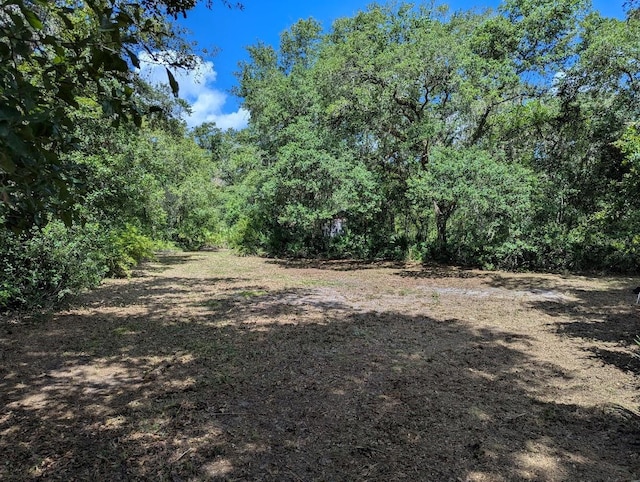 9001 Treiman Blvd, Webster, FL 33597 - photo 28