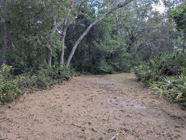 9001 Treiman Blvd, Webster, FL 33597 - photo 29