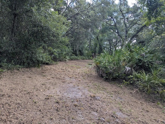 9001 Treiman Blvd, Webster, FL 33597 - photo 30