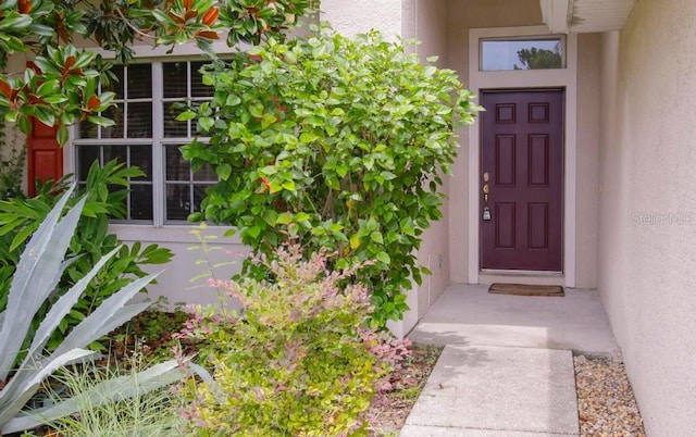 4394 Edenrock Pl, Spring Hill, FL 34609 - photo 4
