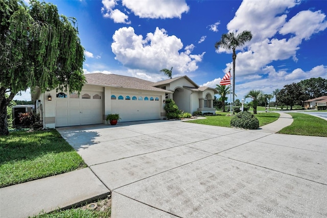 1132 Rambling Vine Ct, Trinity, FL 34655 - photo 13