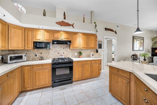 1132 Rambling Vine Ct, Trinity, FL 34655 - photo 29