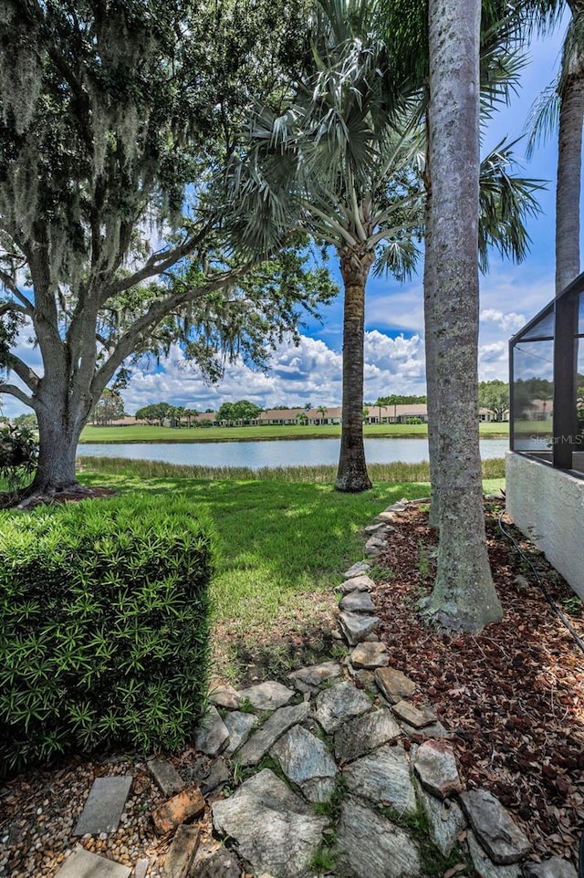 1132 Rambling Vine Ct, Trinity, FL 34655 - photo 66