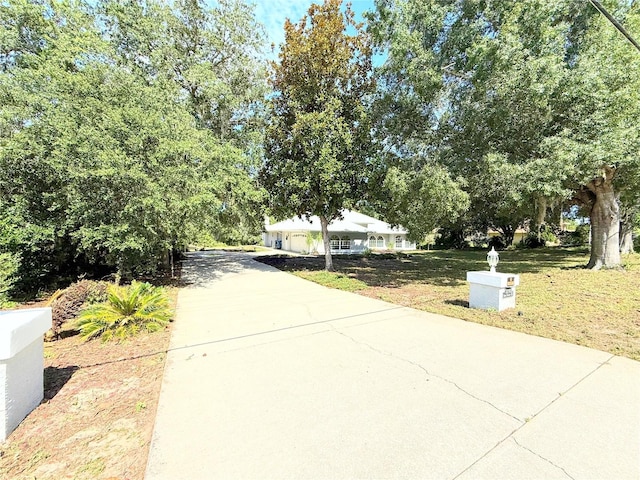 7250 River Country Dr, Weeki Wachee, FL 34607 - photo 4