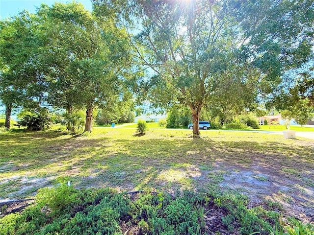 7250 River Country Dr, Weeki Wachee, FL 34607 - photo 27