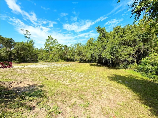 7250 River Country Dr, Weeki Wachee, FL 34607 - photo 28